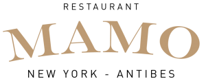 mamo-logo-crop-3-300x121